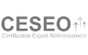 Certification CESEO